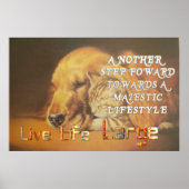 Poster Vie Vie Vaste Avoir une belle journée Chat & Chien (Devant)