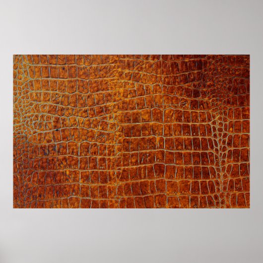 Poster Vieil brun cuir animal texture (Devant)