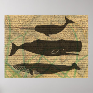 Poster Vieille Baleine Nautilique Vieille Océan Vie Mari