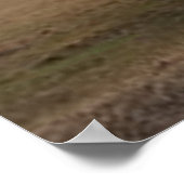 Poster Vieille Barne Rouge (Coin)