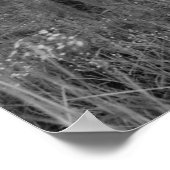 Poster Vieille ferme (Coin)