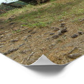 Poster Vieille ferme (Coin)