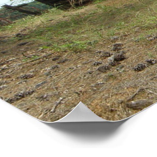 Poster Vieille ferme (Coin)