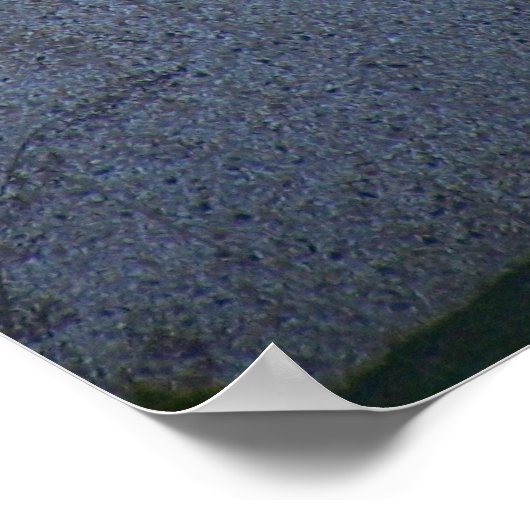 Poster Vieille gloire (Coin)