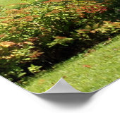 Poster Vieille grange (Coin)