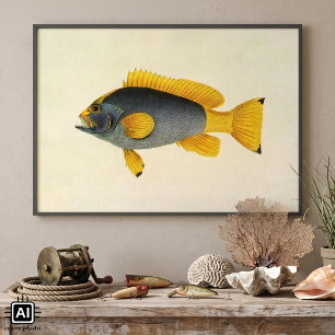 Poster Vieille illustration de mérou bleu et jaune, Vie m