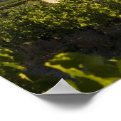 Poster Vieille maison dans le Comtat Venaissin, Vaucluse, (Coin)