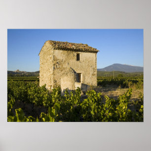 Poster Vieille maison dans le Comtat Venaissin, Vaucluse,