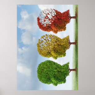 Poster Vieillissement du cerveau