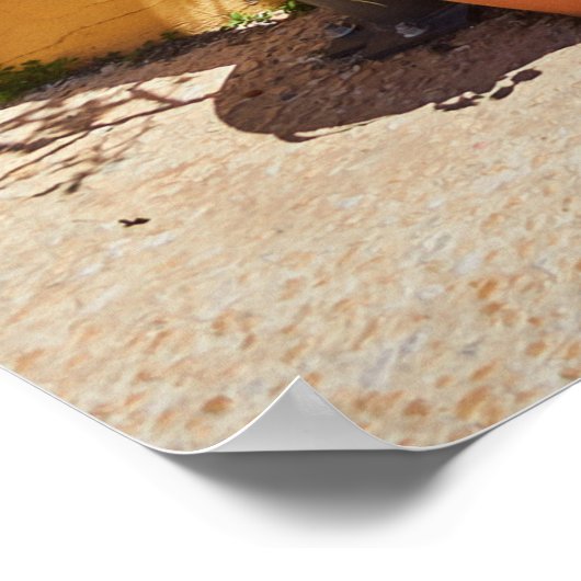 Poster Vielles portes vertes authentiques à Nicosie Chypr (Coin)