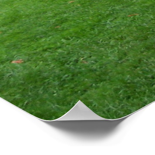 Poster vienne (Coin)