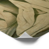 Poster Vierge de Misericordia (Coin)