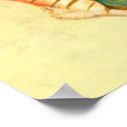 Poster Vierge Marie Guadalupe Tilma Image complète (Coin)