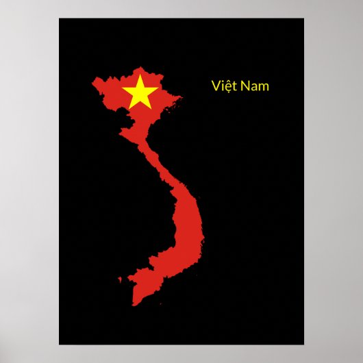 Poster Viêt Nam (Devant)