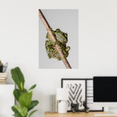 Poster Vietnamese Mossy Frog on a Branch (Bureau à domicile)