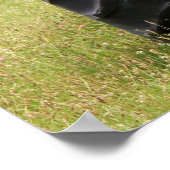 Poster Vieux 4 Tracteur Fatigué Arrière Assis Dans Un Cha (Coin)