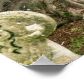 Poster Vieux arbres de Yew (Coin)