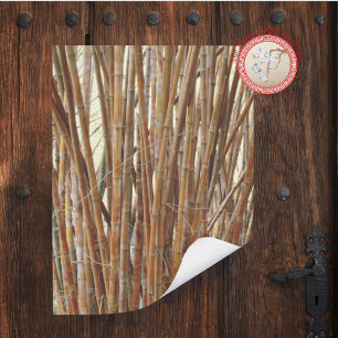 Poster Vieux Bambou