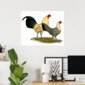 Poster Vieux Boutons à la crème anglaise (Bureau à domicile)