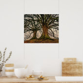 Poster Vieux chêne en hiver (Cuisine)