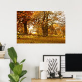 Poster Vieux chênes Extraordinaires en Ecosse (Bureau à domicile)