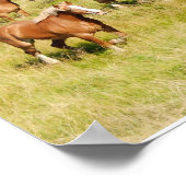 Poster Vieux Chevaux de Brouillon Imprimer (Coin)