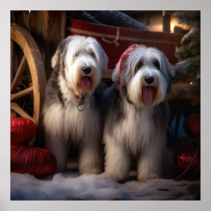 Poster Vieux chien de berger anglais enneigé Noël décorat