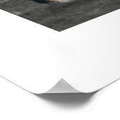 Poster Vieux fidèles (Coin)