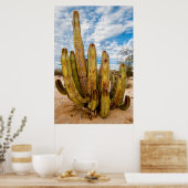 Poster Vieux Homme Cactus portrait, Mexique (Cuisine)