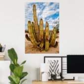 Poster Vieux Homme Cactus portrait, Mexique (Bureau à domicile)