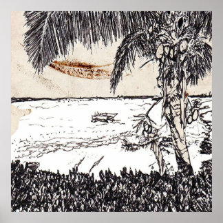 Poster Vieux Palmier Cocotier en Papier, Bahamas