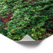 Poster Vieux portail en bois (Coin)