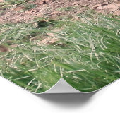 Poster Vieux râteau de foin 3 (Coin)