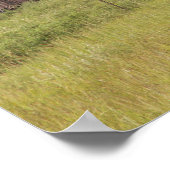 Poster Vieux réservoirs de stockage d'huile (Coin)