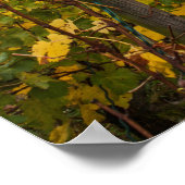 Poster View d'Elevated | (Coin)