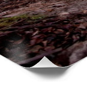 Poster View of Cathedral Peaks (Coin)