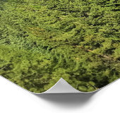 Poster View of Wallowa Lake (Coin)