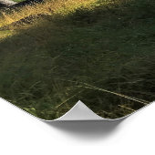 Poster View of Wallowa Lake (Coin)