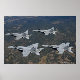 POSTER VIGILANTES