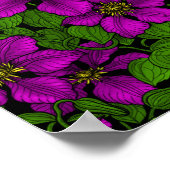 Poster Vigne Clematis rose (Coin)