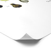 Poster Vigne de raisin (Coin)