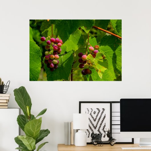 Poster Vigne Isabelle (Bureau à domicile)