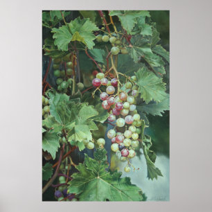 Poster Vigne Réaliste avec Feuilles – Art Fin