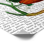 Poster Vigne Squash (Coin)