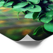Poster Vigne verte feuillue qui pousse sur le tronc d'arb (Coin)