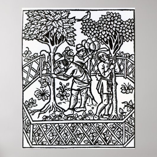 Poster Vignes (Devant)