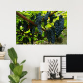 Poster Vignes à raisins (Bureau à domicile)