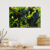 Poster Vignes à raisins (Cuisine)