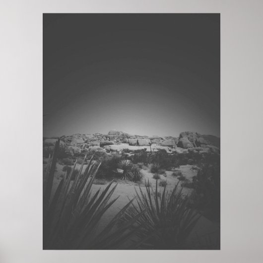 Poster Vignette Noir et Blanc Joshua Tree Desert Scene (Devant)