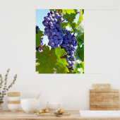 Poster Vignoble (Cuisine)